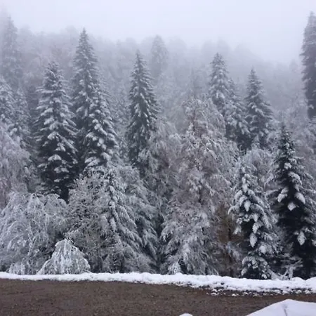 فندق Gasthof Kuttelbad