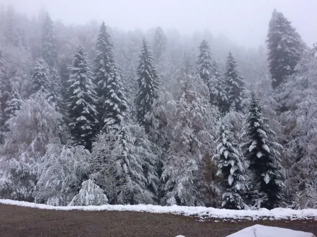 מלון Gasthof Kuttelbad