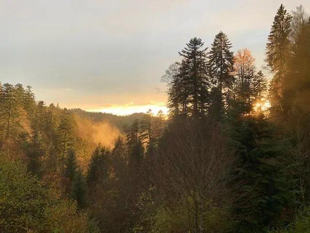 Gasthof Kuttelbad Wasen