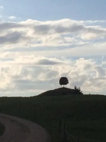 Gasthof Kuttelbad * Wasen