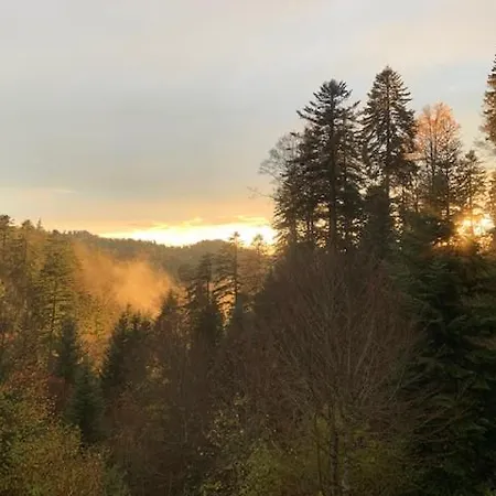 Gasthof Kuttelbad Wasen