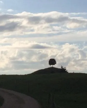 Gasthof Kuttelbad * Wasen